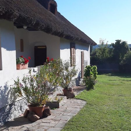 Country House Balaton ปาลอซนัค ภายนอก รูปภาพ