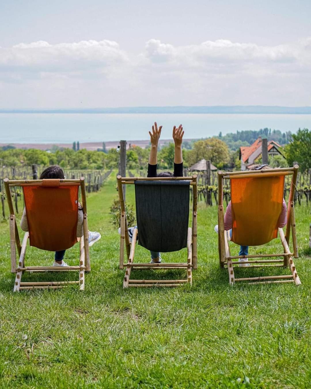 Country House Balaton ปาลอซนัค ภายนอก รูปภาพ