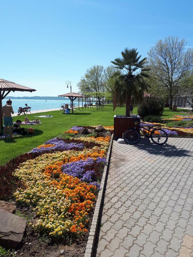 Country House Balaton ปาลอซนัค ภายนอก รูปภาพ